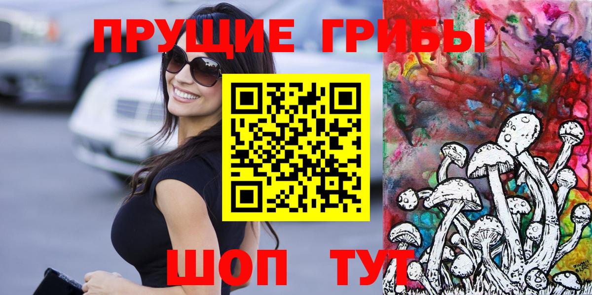 Зеленодольск  Псилоцибиновые грибы MAGIC MUSHROOMS  Вход с VPN 